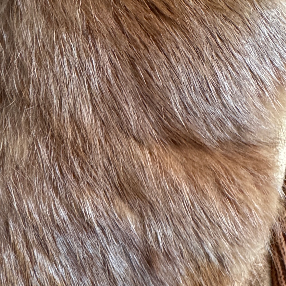 Nygard Collection Rabbit Fur Collar Jacket - Picture 4 of 14